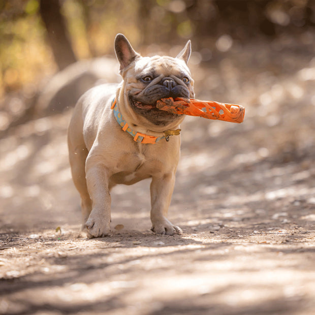 Chuckit! Air Fetch Stick