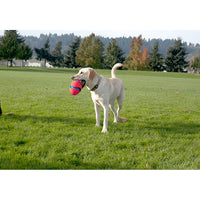 CHUCKIT! Fumble Fetch