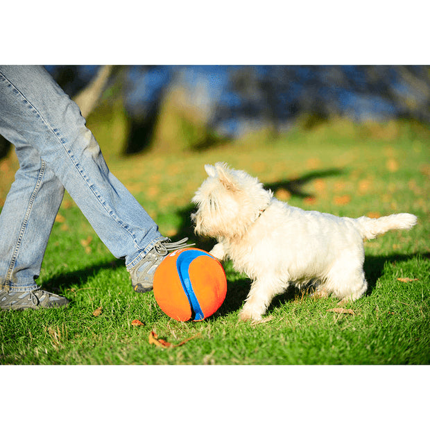 Chuckit! Kick Fetch