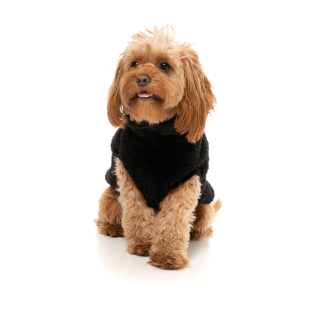 FuzzYard Turtle Teddy Sweater