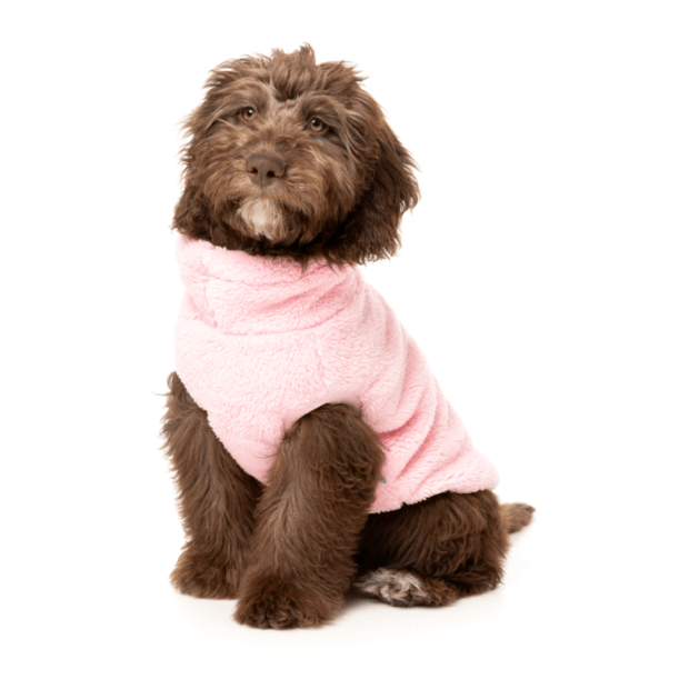 FuzzYard Turtle Teddy Sweater