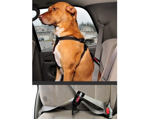 EzyDog Car Seat Attachment