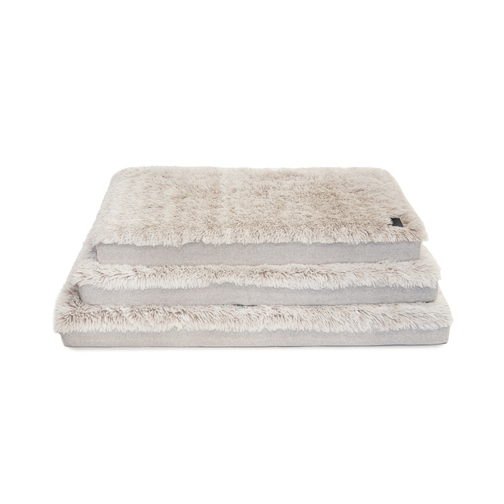 Ortho Dog Mat