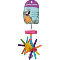 Parrot Rainbow Wheel Toy