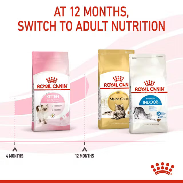 Royal Canin Kitten