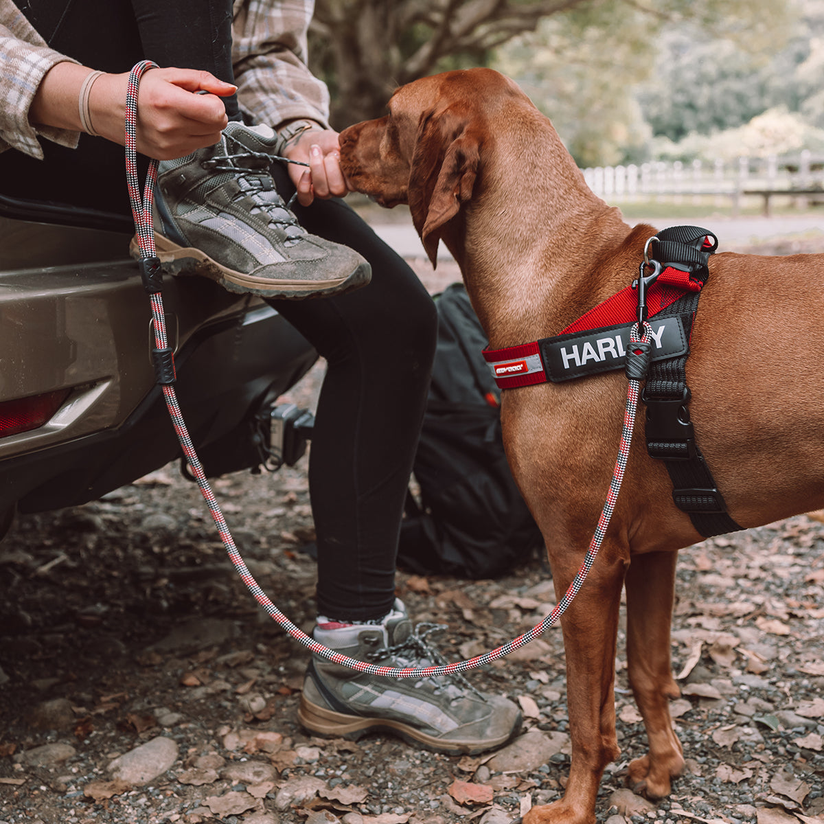 EzyDog Summit Rope Dog Leash 120cm