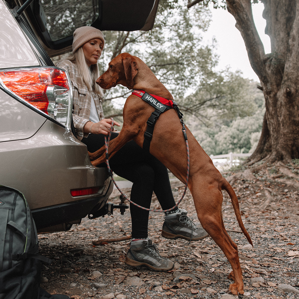 EzyDog Summit Rope Dog Leash 120cm
