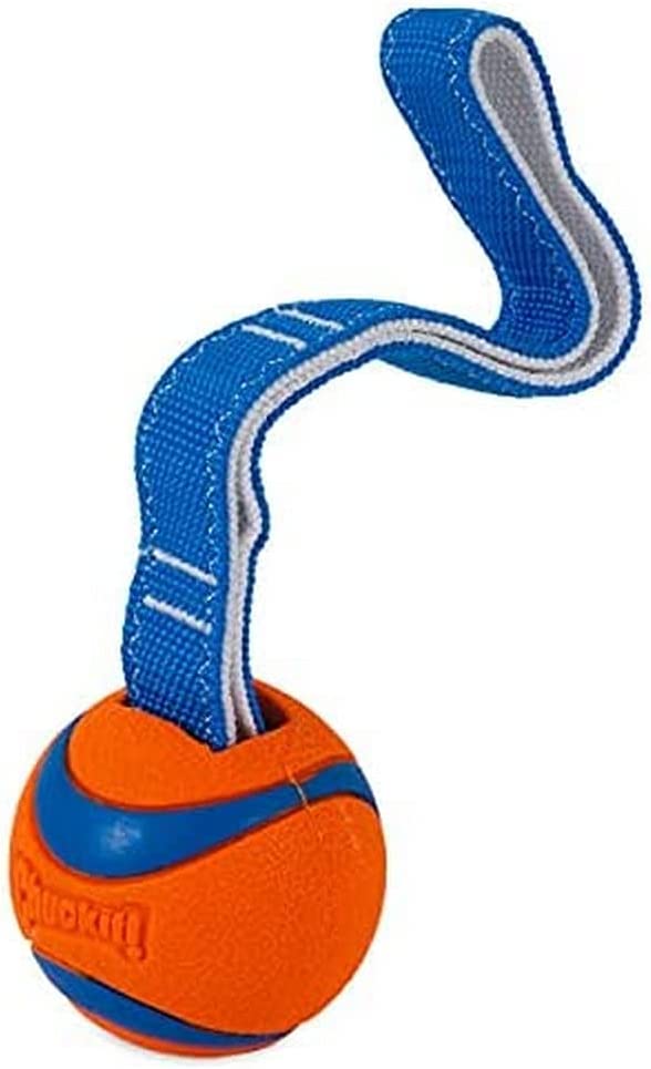 Chuckit! Ultra Tug Medium