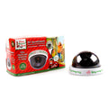 Xmas Elves BB Elf Surveillance Faux Camera