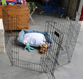 Exercise Play Pen C/Care 61X91Cm 36