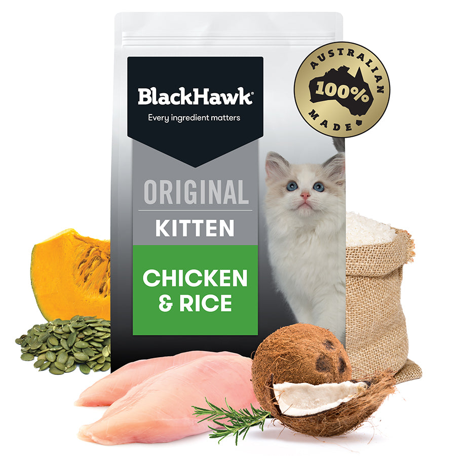 blackhawk 100% every ingredient matters made original kitten chicken & rice