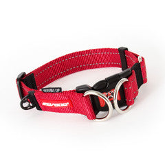 EzyDog Collar Double Up