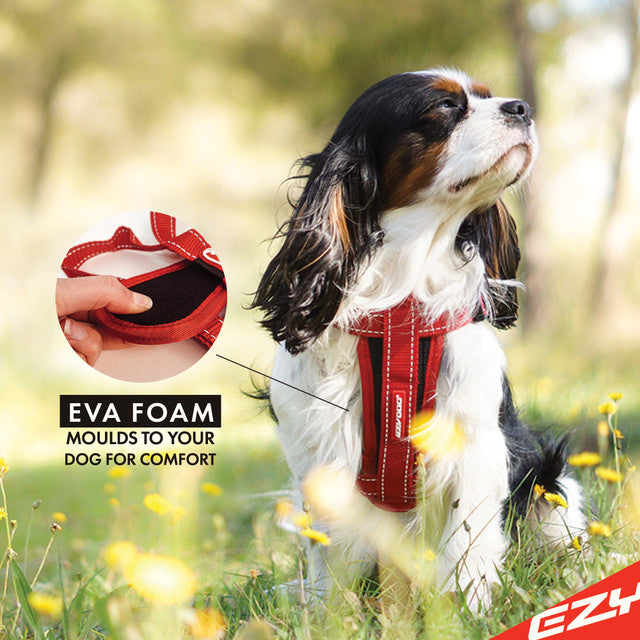 EzyDog Chest Plate Dog Harness