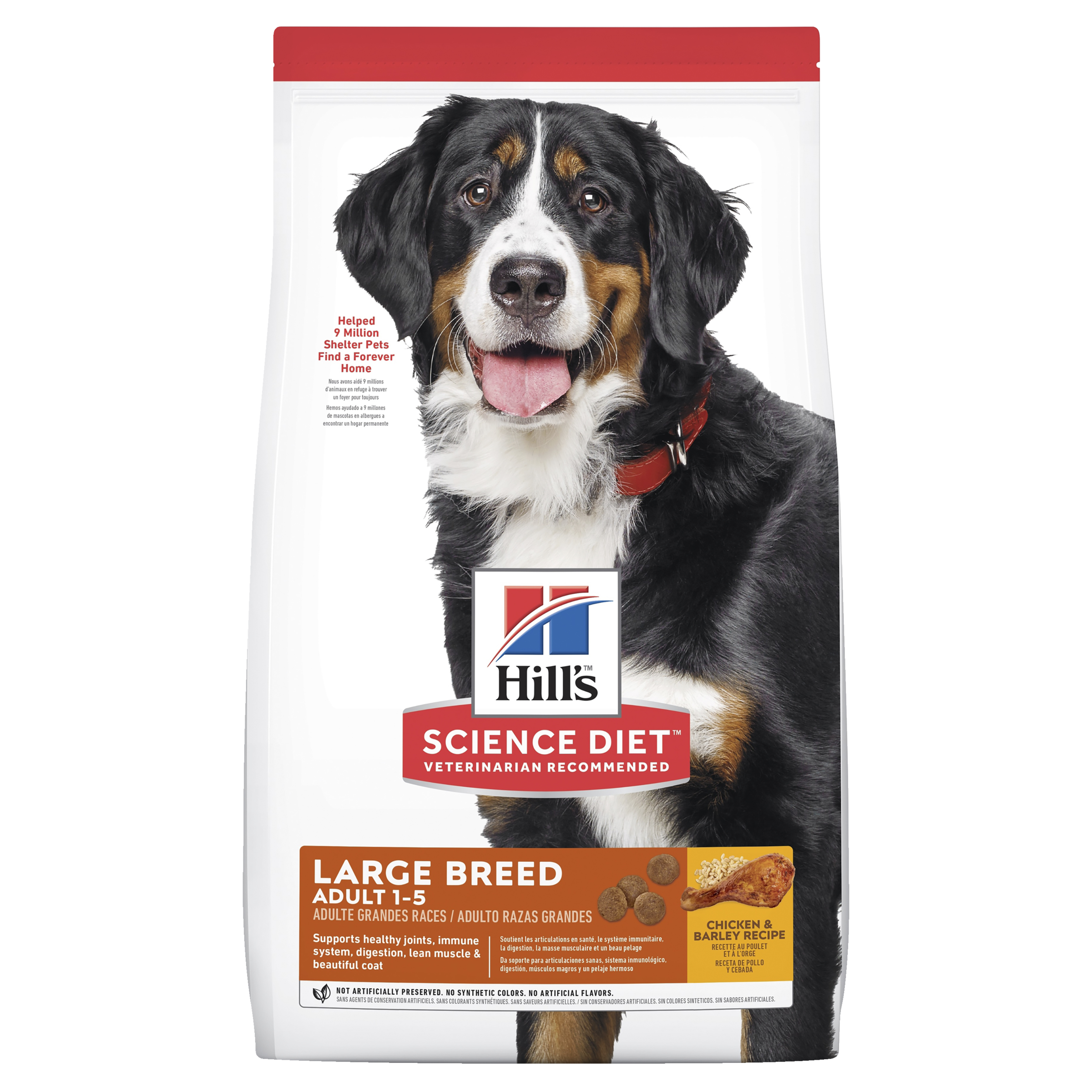 HILLS Dog Adult Large Breed - Chicken & rice