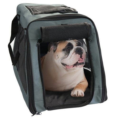 Dual pet cheap carrier