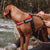 EZYDOG Harness Express