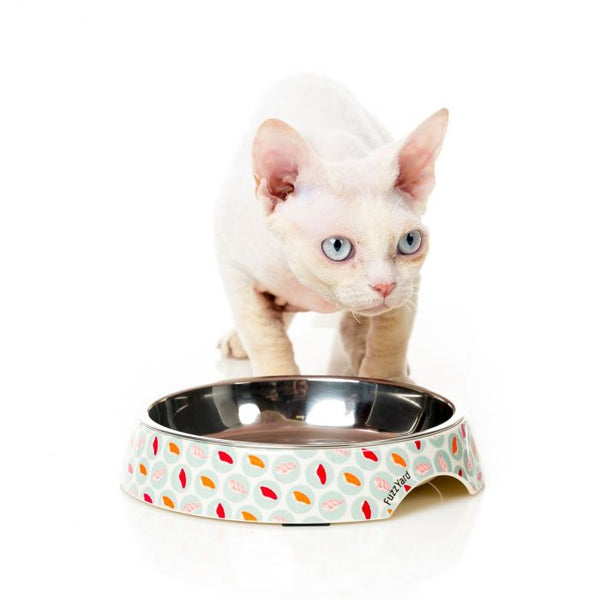 FuzzYard Cat Easy Feeder
