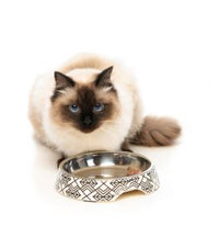 FuzzYard Cat Easy Feeder