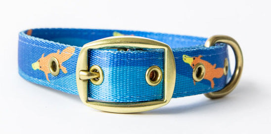 AniPal  Piper the Platypus Dog Collar