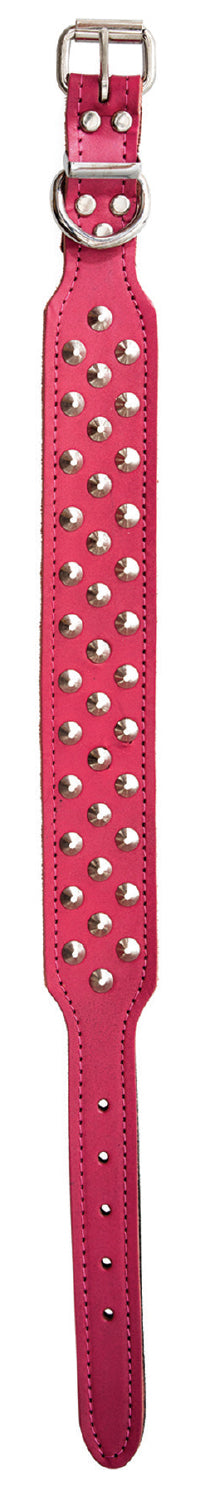 Collar Staffy Leather
