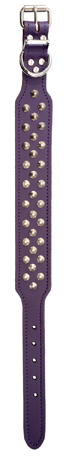Collar Staffy Leather