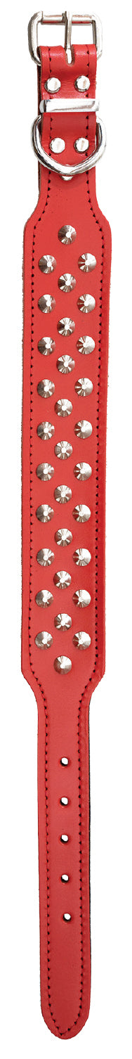 Collar Staffy Leather