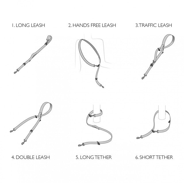EzyDog Leash Vario6