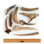 WAG Whole Antler